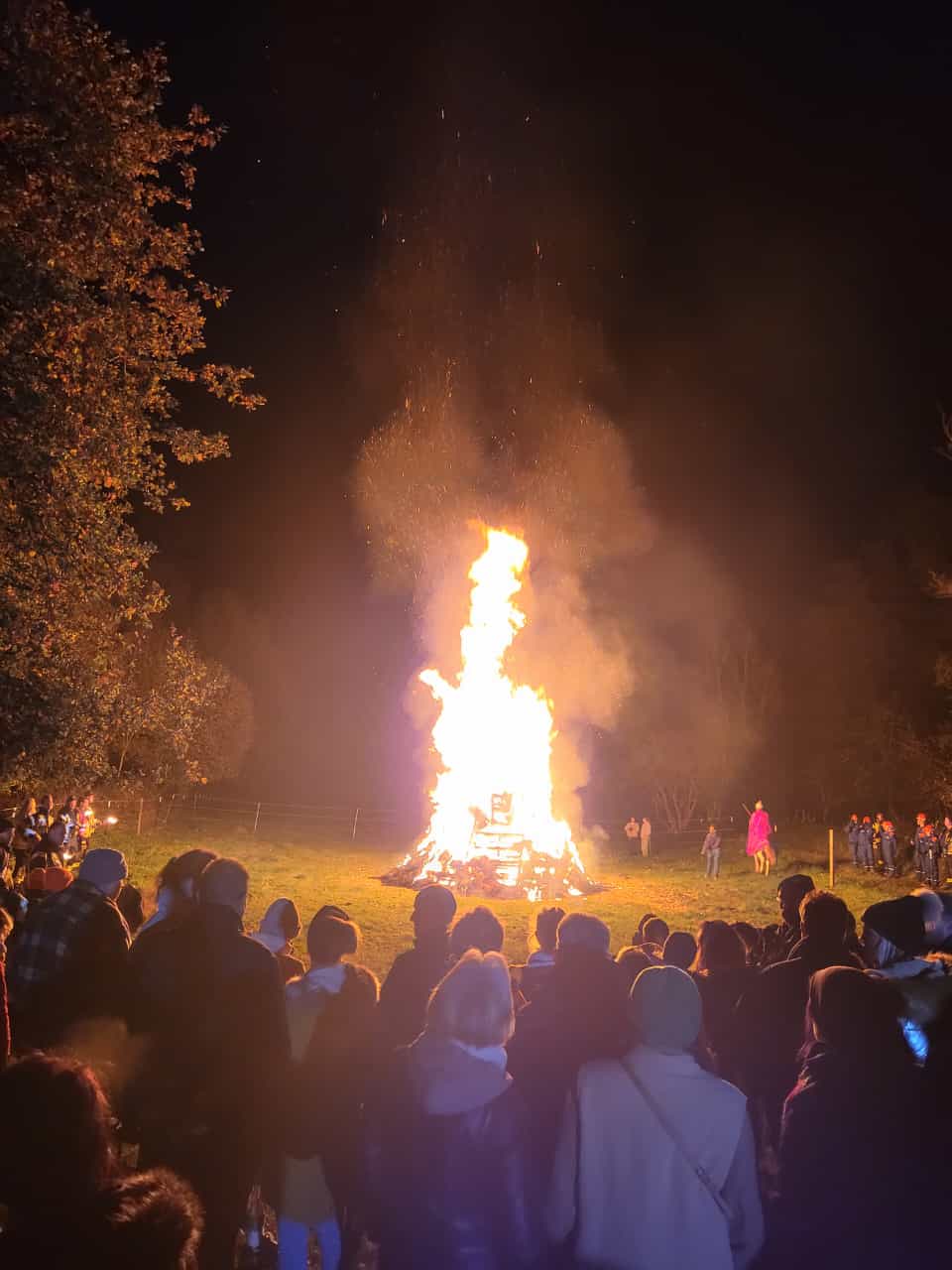 Teilnehmer vor dem brennenden Martinsfeuer