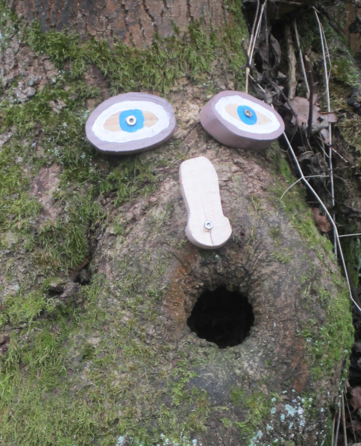 Trimbser Wichtelpfad 2025 ist eröffnet